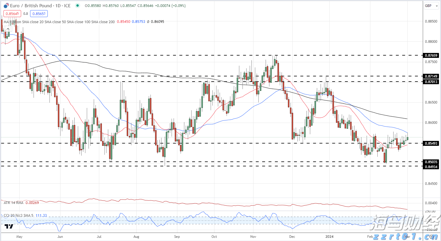 遂溪杨柑召开典型村创建推进会 聚焦“百千万工程”绘就乡村振兴新图景